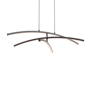 Hanging Lamp 1040-2B